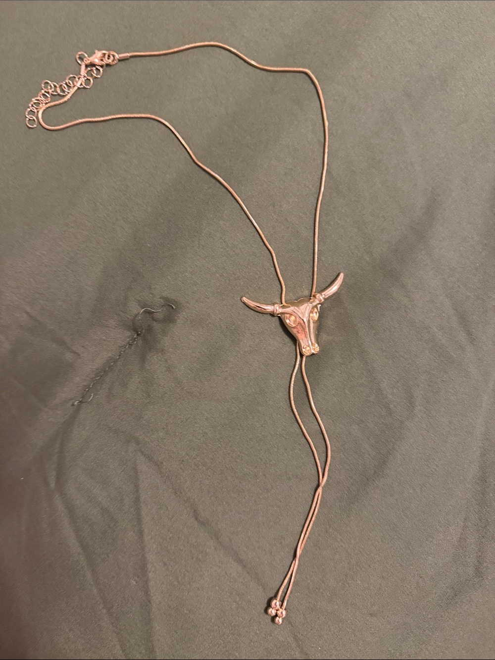 Western Longhorn bolo tie necklace